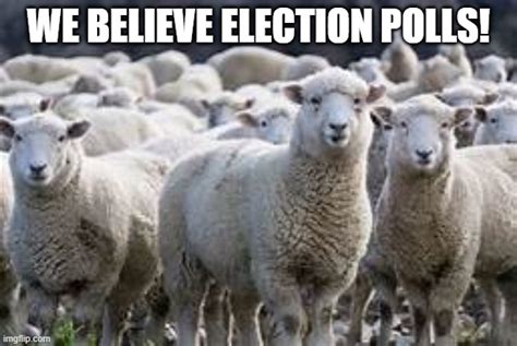 election polls are fake